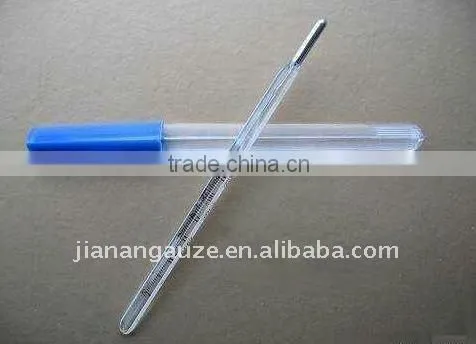 Mercury Thermometer