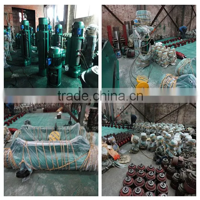 Double Speed Wire Rope Electric Hoist