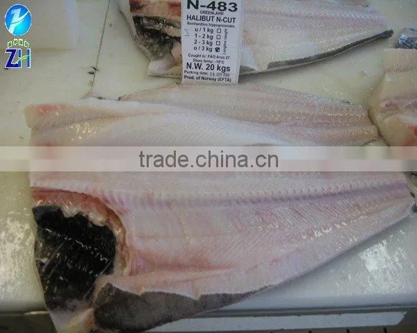 Frozen Greenland Halibut fillets