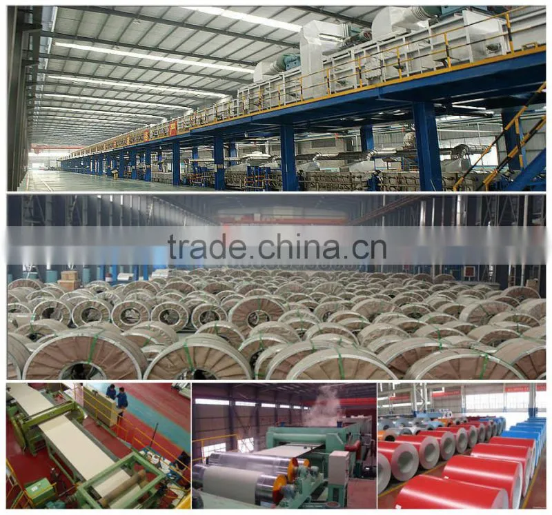 Qingdao MaoYe International Trade Co., Ltd. company overview - view 3