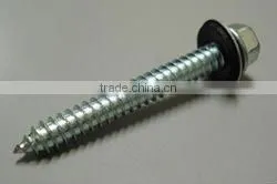 stainless steel self tapping screw