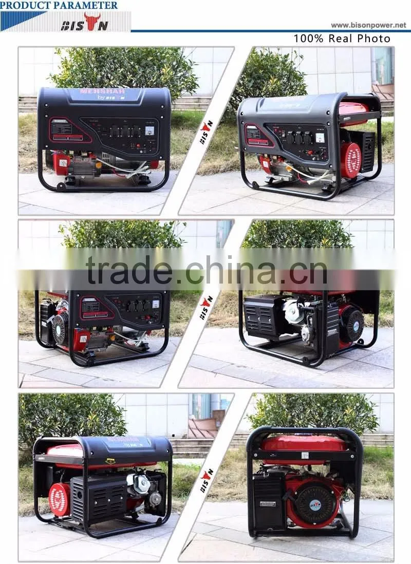 Bison China Taizhou OEM Factory 5KW Air Cooling LPG Biogas Generator