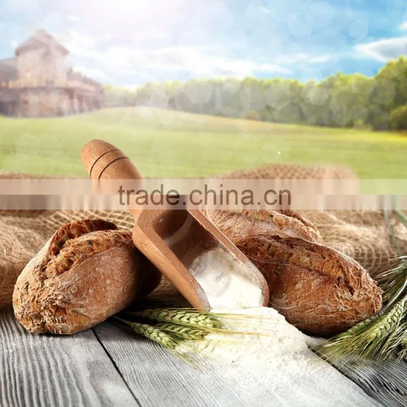 Wheat Flour ( All Purpose )