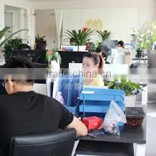 Shenzhen Royalplay Technology Co., Ltd. company overview - view 2