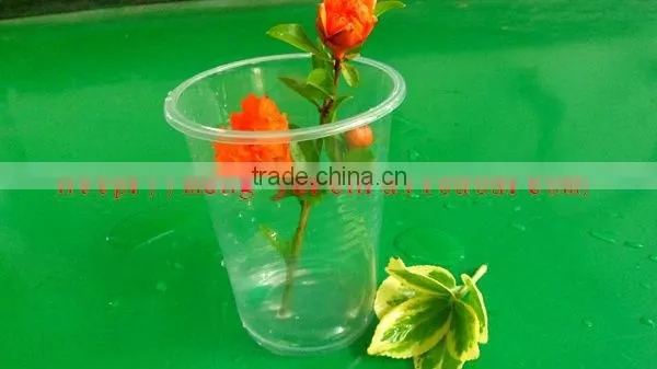 12oz disposable plastic beverage cup