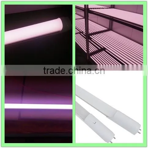 2016 hot sale pink LEDs zoo animal video tube 2015 led pink tube anim pink LED light source for fresh meat with 3 years warranty