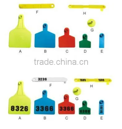 ZJKR Apparatus Factory Outlet Pet Vet Common Plastic Ear Tag