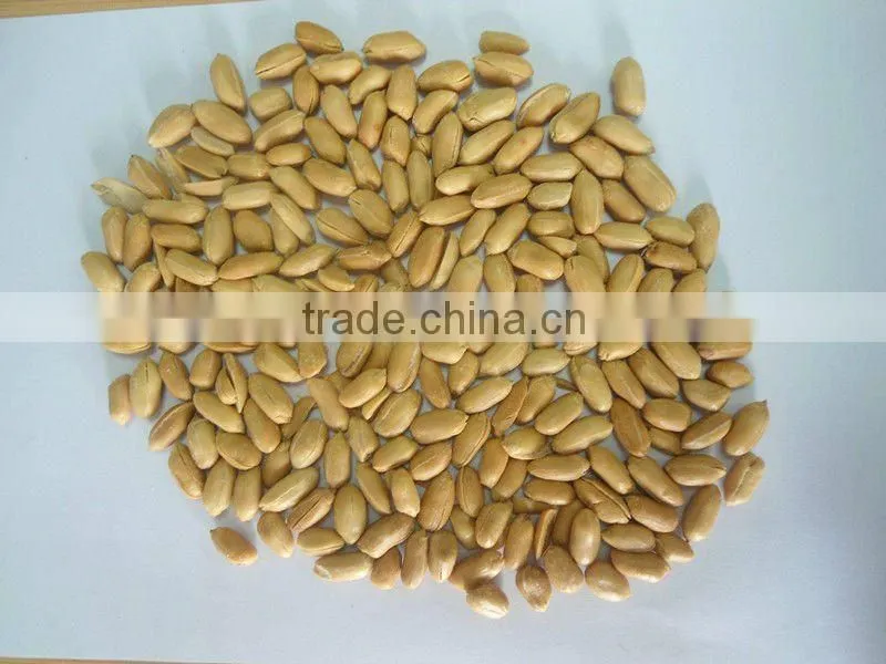Chinese blanched peanut kernels