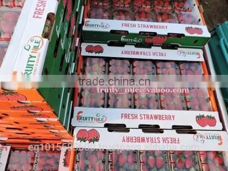 Fresh Strawberry