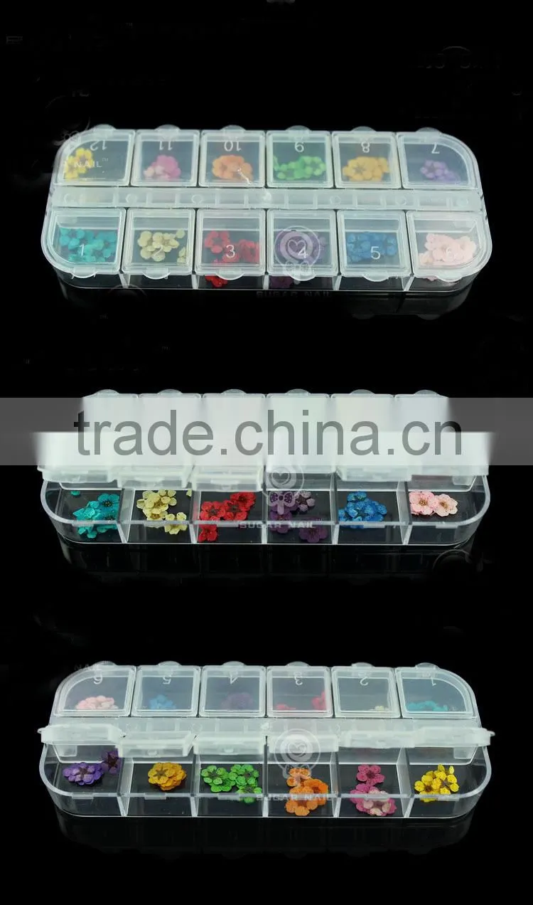H1-034 12COLORS Dried Flowers for Nail Art Embeddi(12Colours ) 1.These dried DRY FLOWER ,Real dry flower