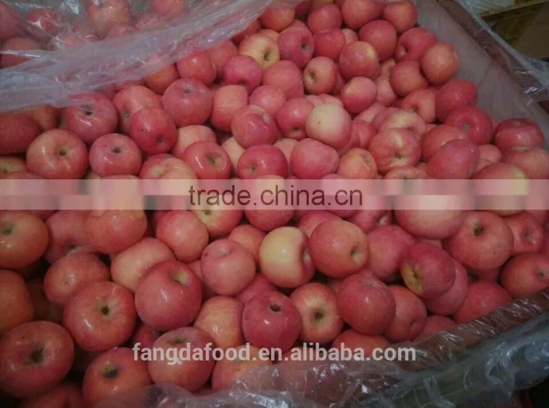 yantai fresh apple/china fresh apple
