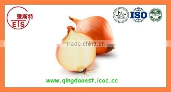 Export china Fresh new crop red and yellow onion