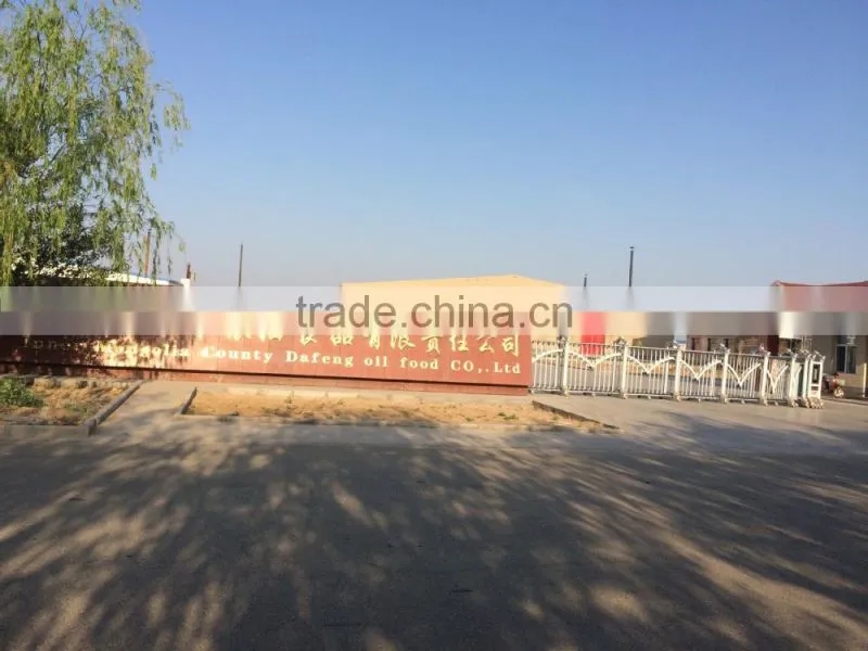 export shine skin pumpkin seeds 2015 new crop