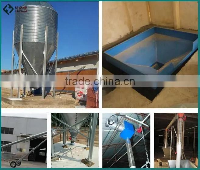 broiler chicken project