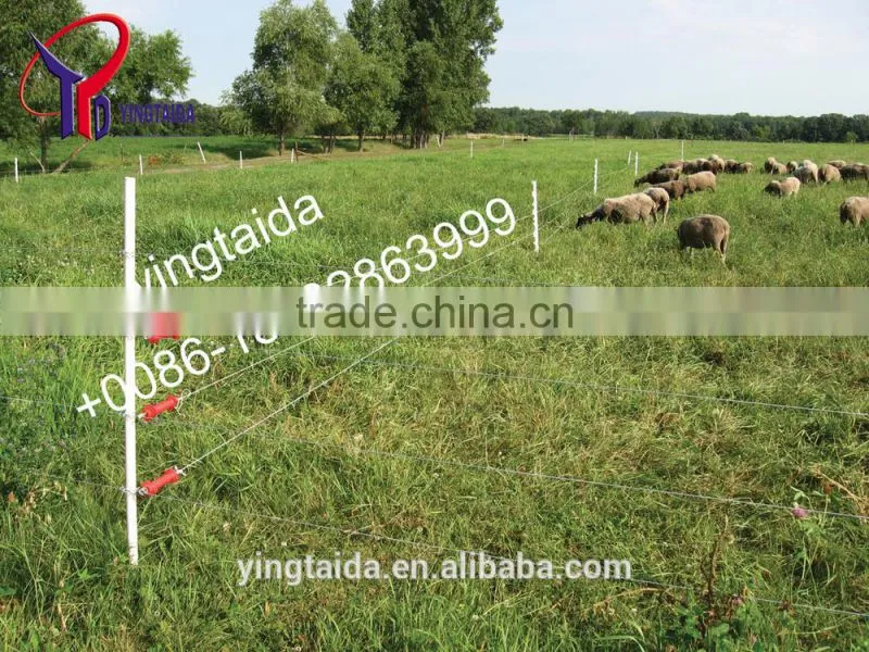 professional smart electronic fence