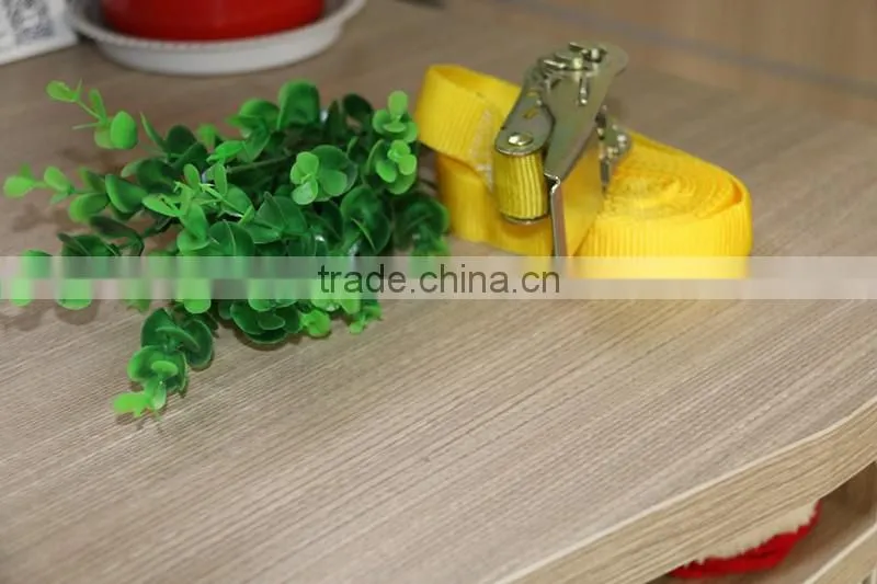 BeeHive Binding Tool Emlock Hive fasteners with strap