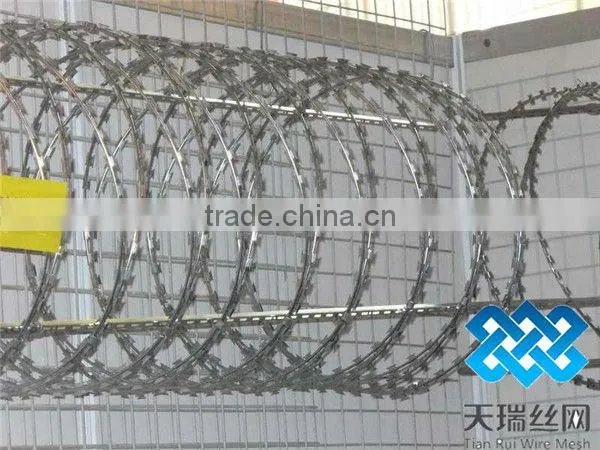 razor barbed wire fence
