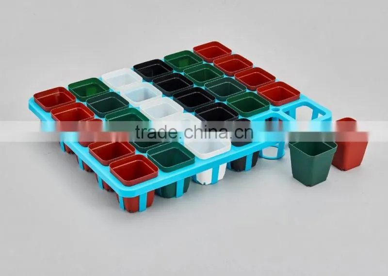 Flower Pot for succulent plant