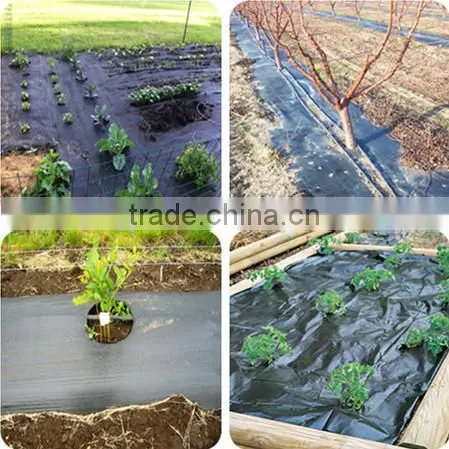UV stabilised eco-friendly pp non woven garden weed control/guard mulch sheet/weed mat