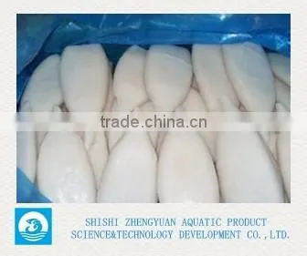 U5 Frozen Illex squid Tube