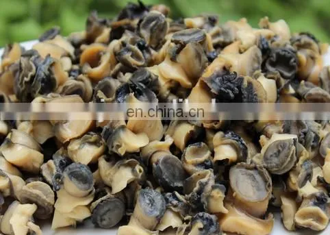 Clam shell and meat separator processing line/machine