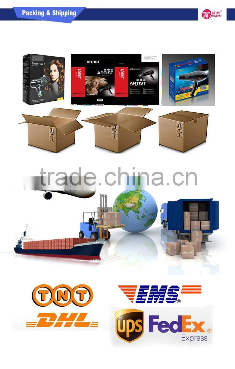 Household Hair Dryer Resistance Blow Dryers DC Motor Hairdriers ZT-3357