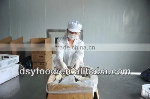 high quality frozen tongue sole fish