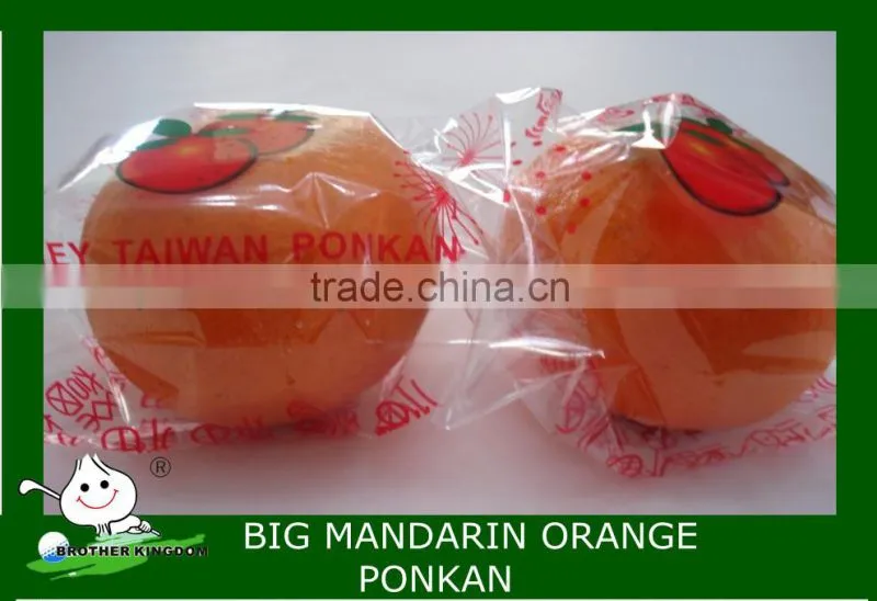 Sell big mandarin orange Brother Kingdom