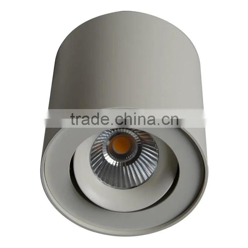 modern white adjustable surface mounted ceiling light