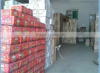King Stone International Trading (Shanghai) Co., Ltd. company overview - view 3