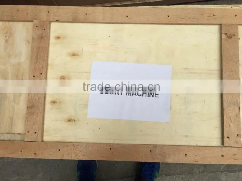 CE Approved Multi-Function Automatic Ice Cream Packaging Machine/ Popsicle Packing Machine/ Lolly Packing Machine