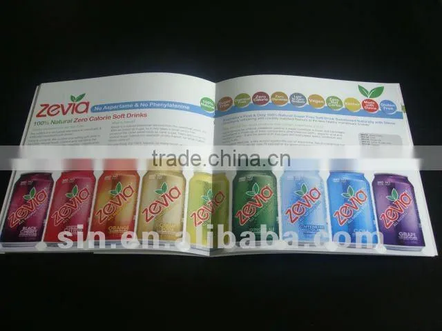 Customized Art Paper Brochure
