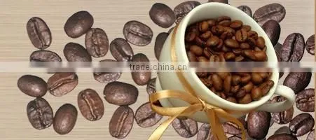 stainless steel household coffee roaster machine