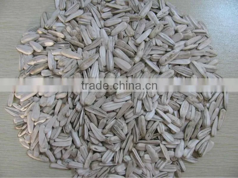 2014factory low price white sunflower seed