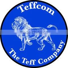 Teffcom company overview - view 1