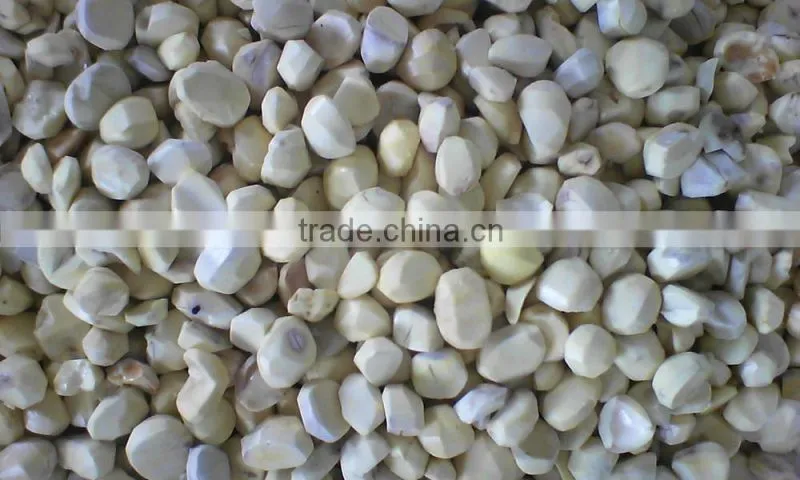 dehydrated dried Organic Cultivation chestnuts wholesale