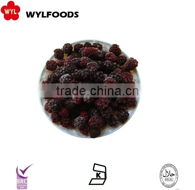 hot selling!!IQF blackberry from China new crop good quality