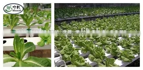 good soil aeration soil drainage mediums bulk expansion perlite