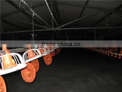 Meat chicken poultry feeding line