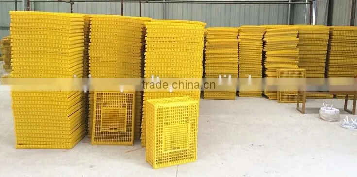 Good quality plastic pigeon transport cage/animal transport cage with cheap price