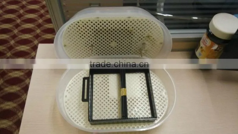 CE approved family type VLAIS mini chicken egg incubator