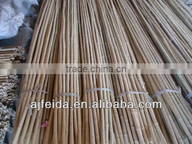 FD26Straight raw bamboo poles for construction & building materials