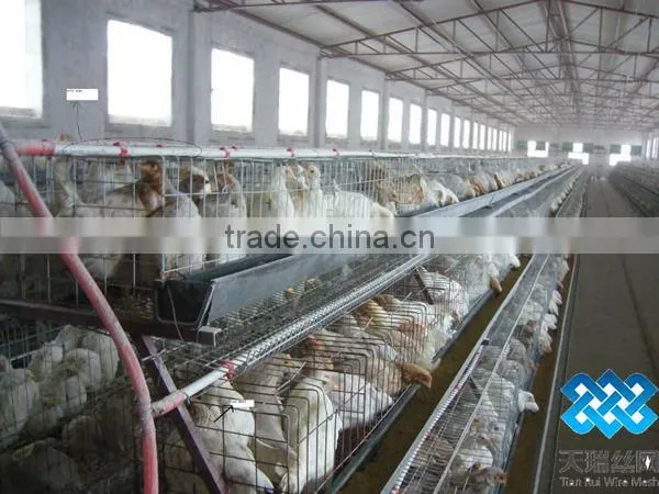Chicken Cages/layer Chicken cage