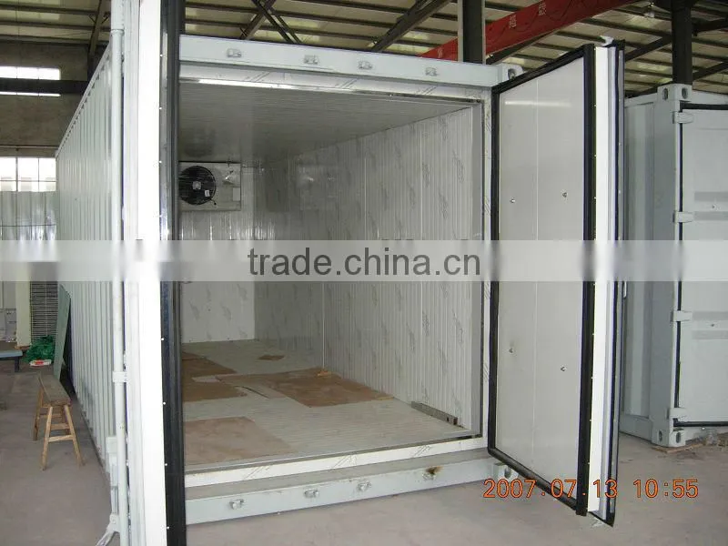 Flat roof Container garage