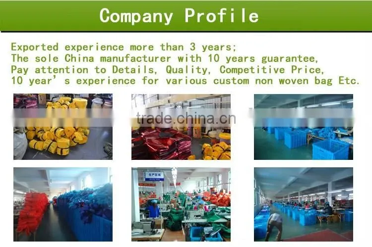 Factory specialized in making non woven bag, fine workmanship and superior quality