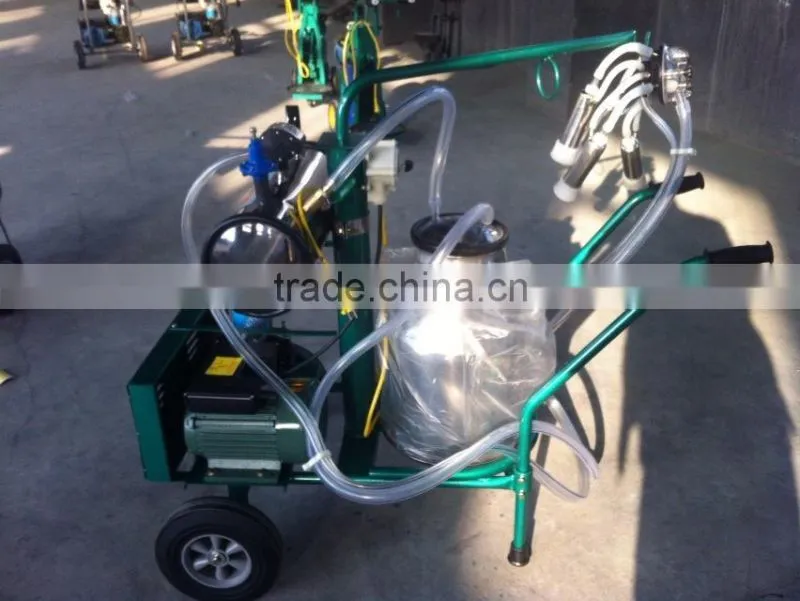 piston double bucket milk machine
