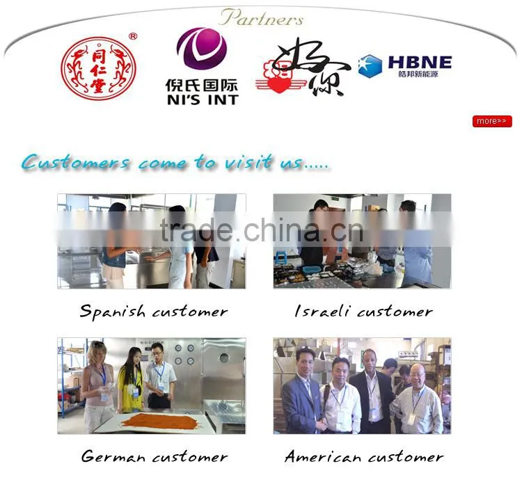 Protein powder continuous type microwave dryer