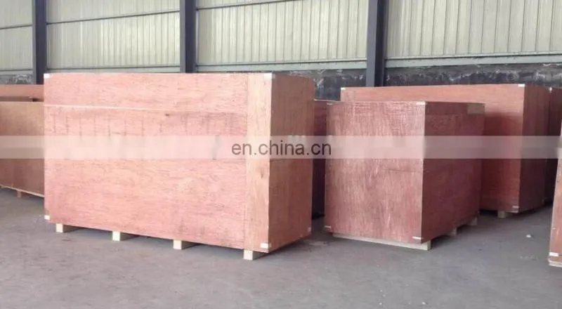 Frozen french fries potato chips factory equipment price/french fries making machines/potato processing line