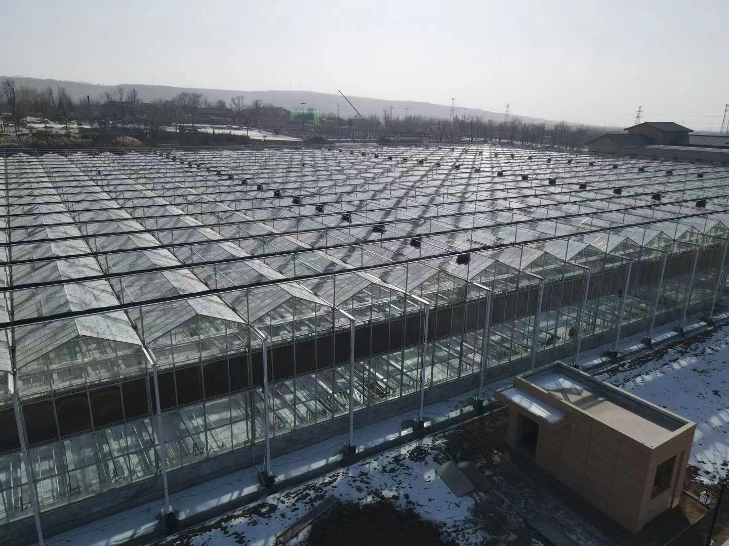 Shandong Beita Agricultural Technology Co., Ltd company overview - view 1