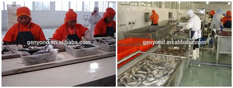 Factory Price Canned Catfish Processing Line